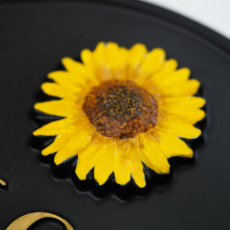 Sunflower Split Close Up house sign